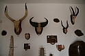 Kanary_2010 167